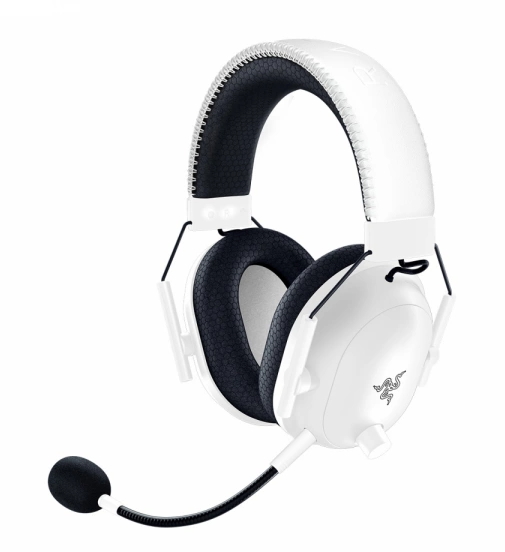 Razer BlackShark V2 X